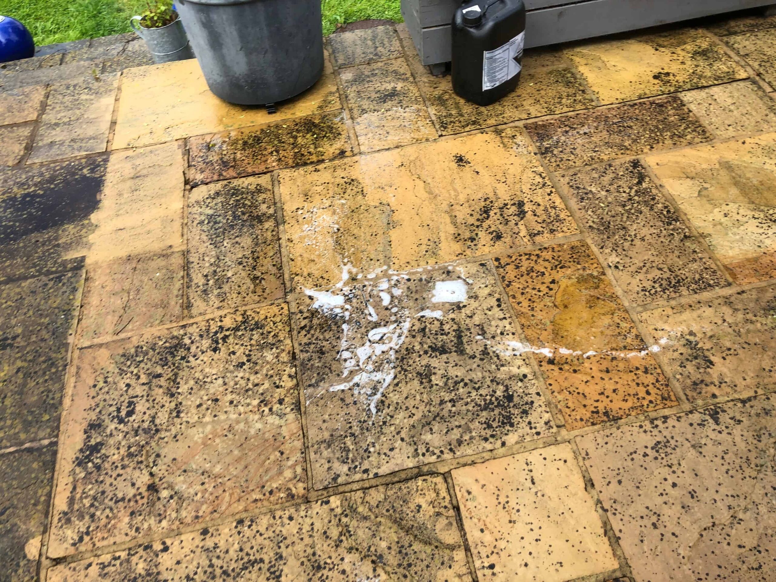 Patio cleaning and Lichen, black spot removal in Barnet